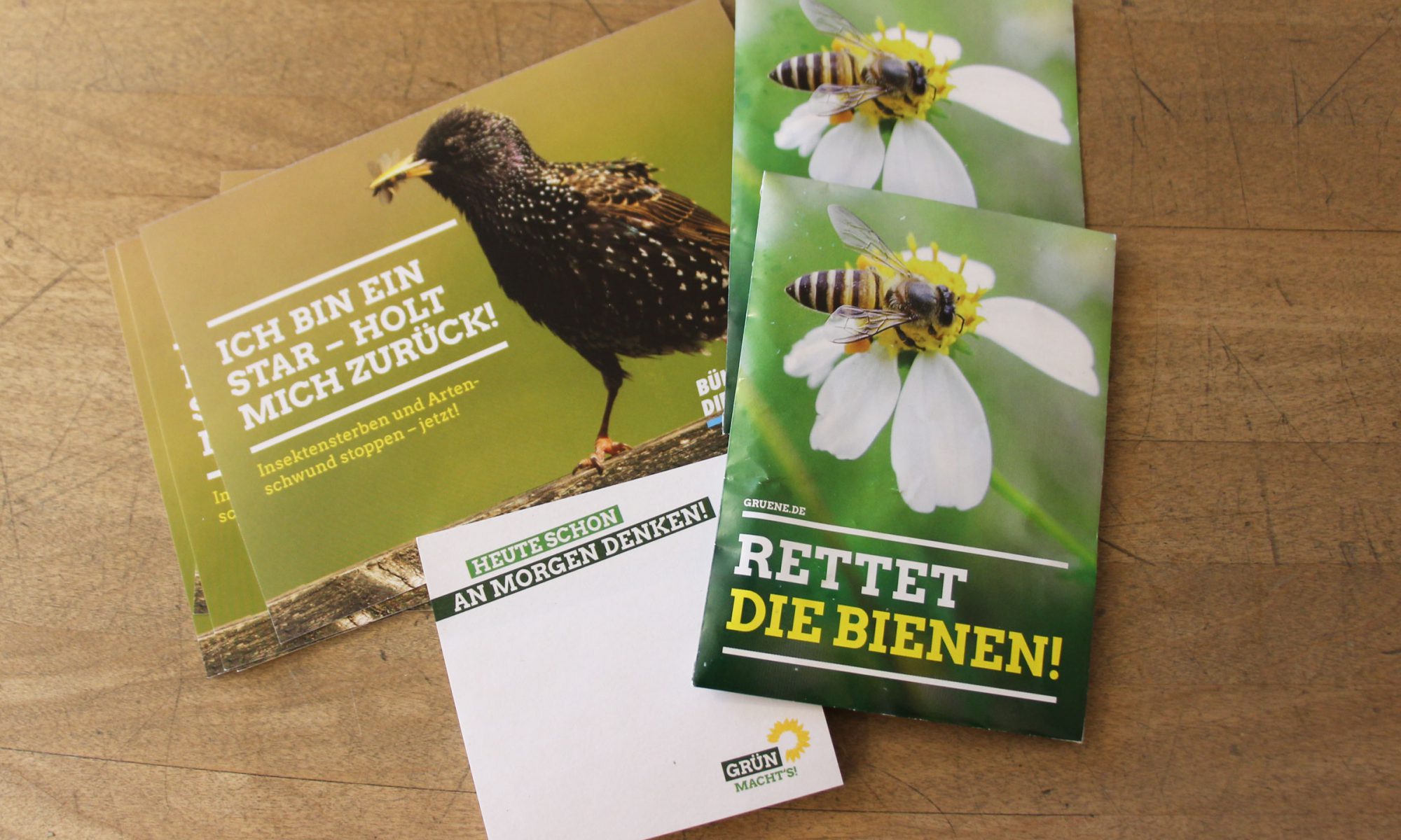 Im grünen Paket gegen Insektensterben sind Postkarten, Samentüten und Notizblöcke.