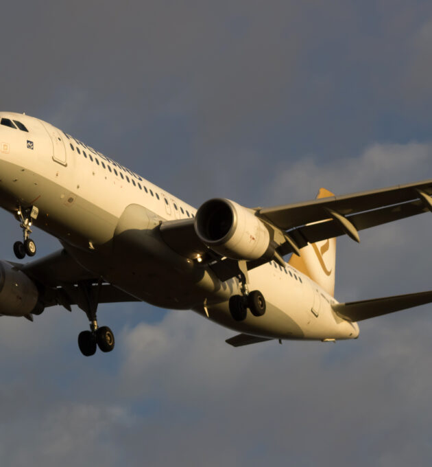Freebird Flugzeug