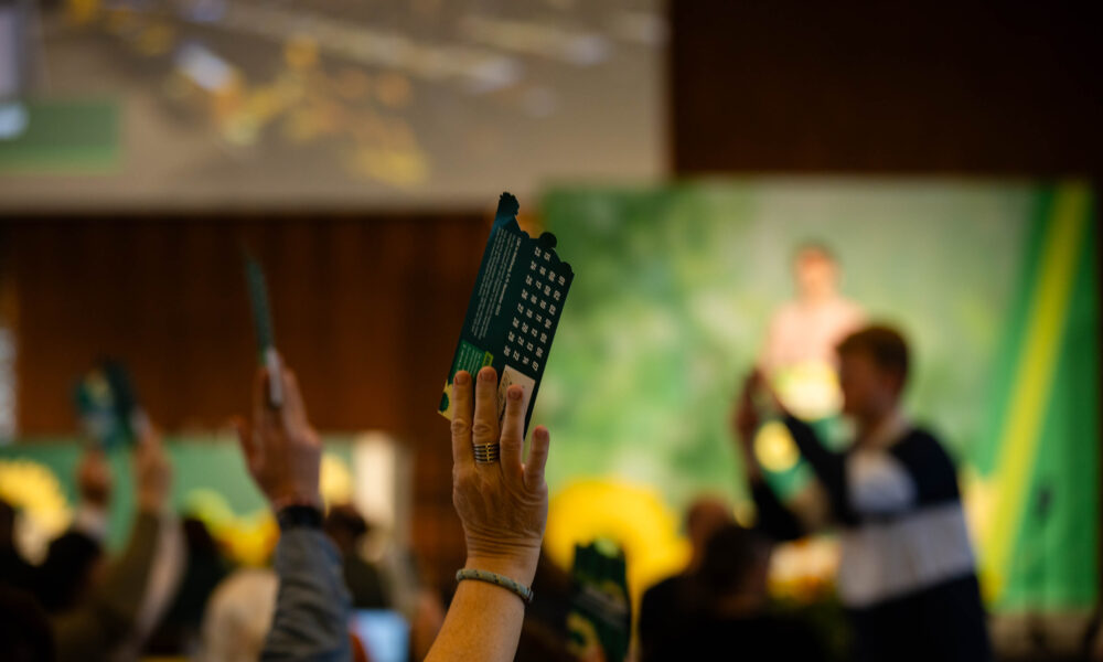 Hochgehaltene Hände mit den Stimmkarten in den Fingern auf dem Landesparteitag in Wolfsburg