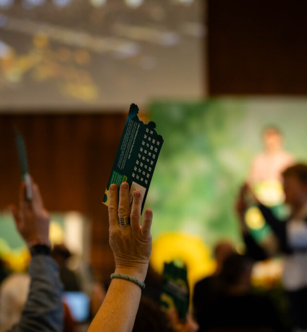 Hochgehaltene Hände mit den Stimmkarten in den Fingern auf dem Landesparteitag in Wolfsburg