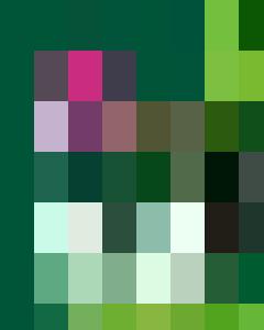 LAG Mobilität und Verkehr