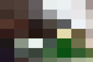 Starkes Land – Leben im ländlichen Raum