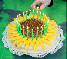 2005, 25 Jahre Grün