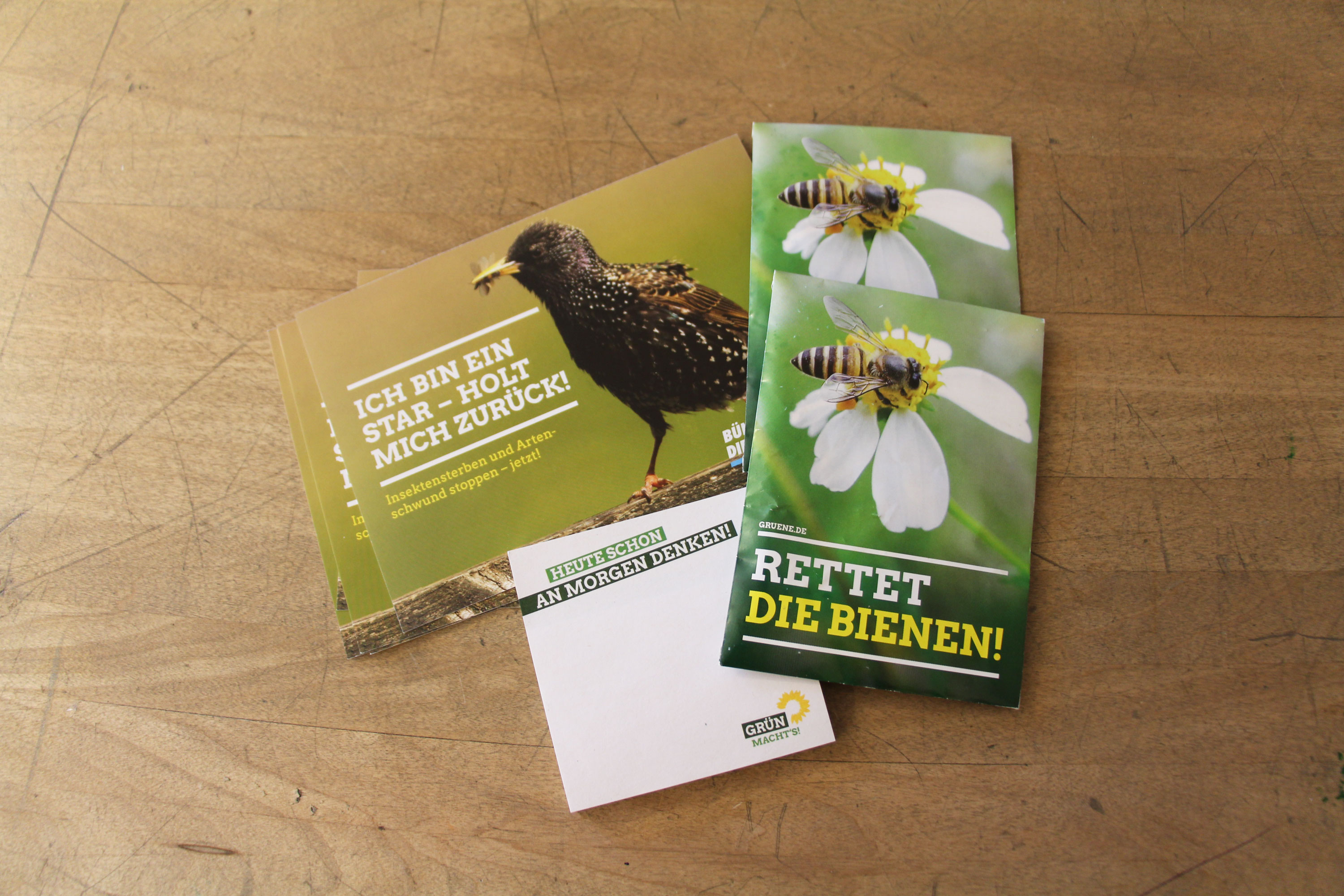 Im grünen Paket gegen Insektensterben sind Postkarten, Samentüten und Notizblöcke.