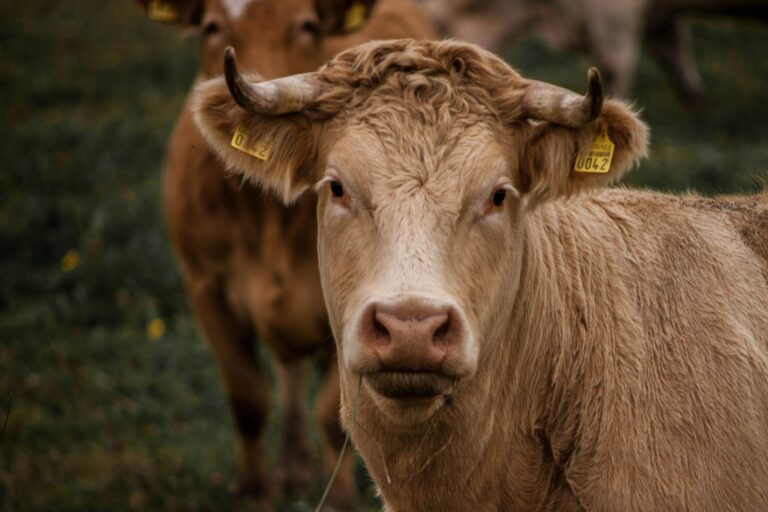Nachhaltig wächst besser